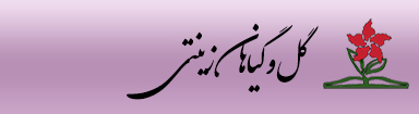 گل و گیاهان زینتی